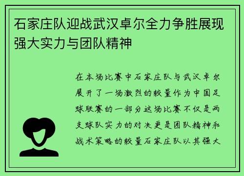 石家庄队迎战武汉卓尔全力争胜展现强大实力与团队精神