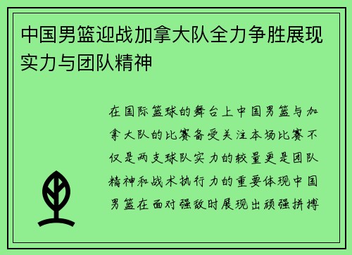 中国男篮迎战加拿大队全力争胜展现实力与团队精神