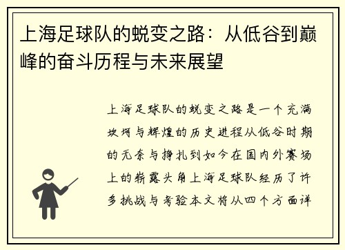 上海足球队的蜕变之路：从低谷到巅峰的奋斗历程与未来展望