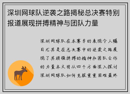 深圳网球队逆袭之路揭秘总决赛特别报道展现拼搏精神与团队力量