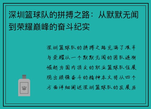 深圳篮球队的拼搏之路：从默默无闻到荣耀巅峰的奋斗纪实