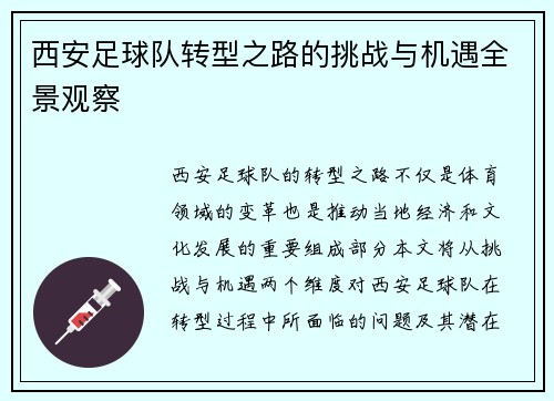 西安足球队转型之路的挑战与机遇全景观察